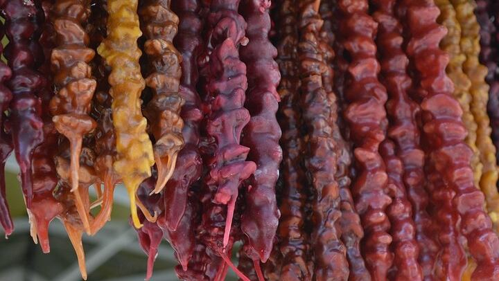 Private Kakheti Day Trip: Bodbe, Sighnaghi and KTW Wine Tasting, 9 AM Pickup (4/11)