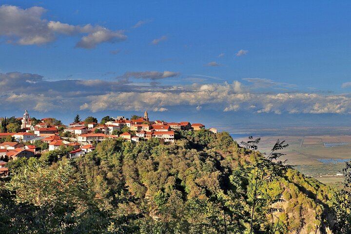 Private Kakheti Day Trip: Bodbe, Sighnaghi and KTW Wine Tasting, 9 AM Pickup (5/11)