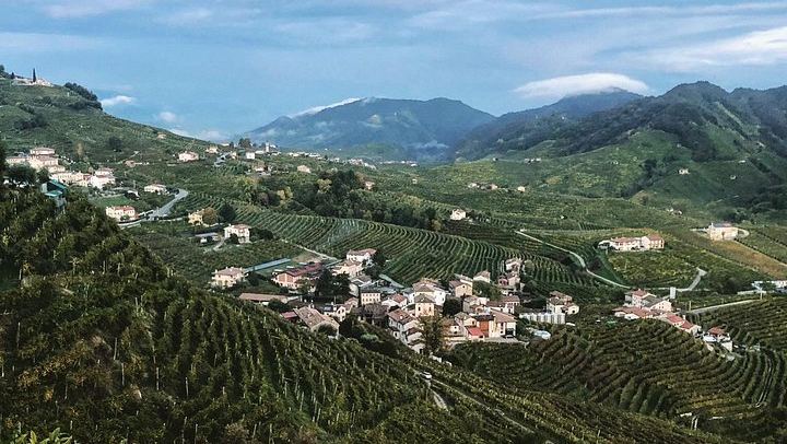 Prosecco Hills Day Trip by Train from Venice with Yellowboot, Two Wineries and Viewpoint (3/8)