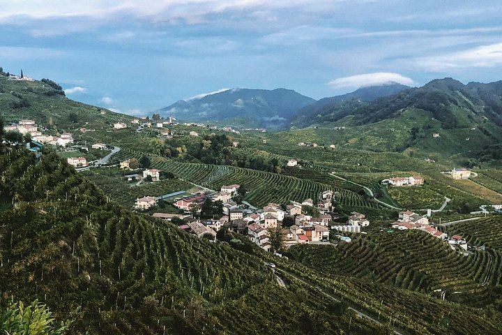 Prosecco Hills Day Trip by Train from Venice with Yellowboot, Two Wineries and Viewpoint (3/8)