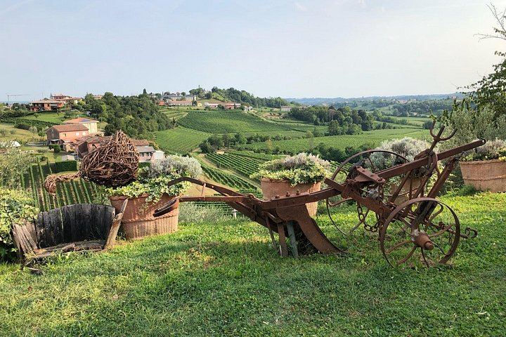 Prosecco Hills Day Trip by Train from Venice with Yellowboot, Two Wineries and Viewpoint (6/8)