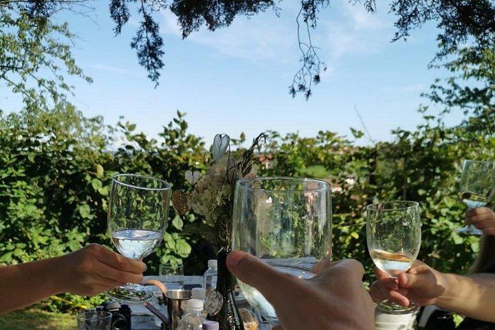 Prosecco Hills Day Trip by Train from Venice with Yellowboot, Two Wineries and Viewpoint (7/8)