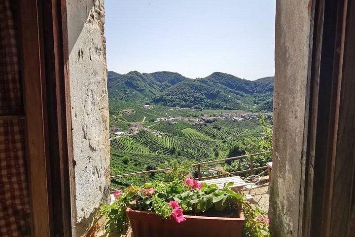 Prosecco Hills Day Trip by Train from Venice with Yellowboot, Two Wineries and Viewpoint (8/8)