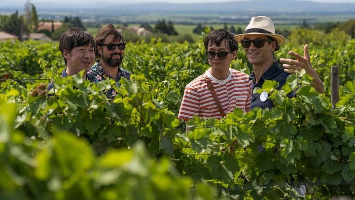 Châteauneuf-du-Pape Afternoon Wine Tour from Avignon, Two Cellar Tastings (4/10)