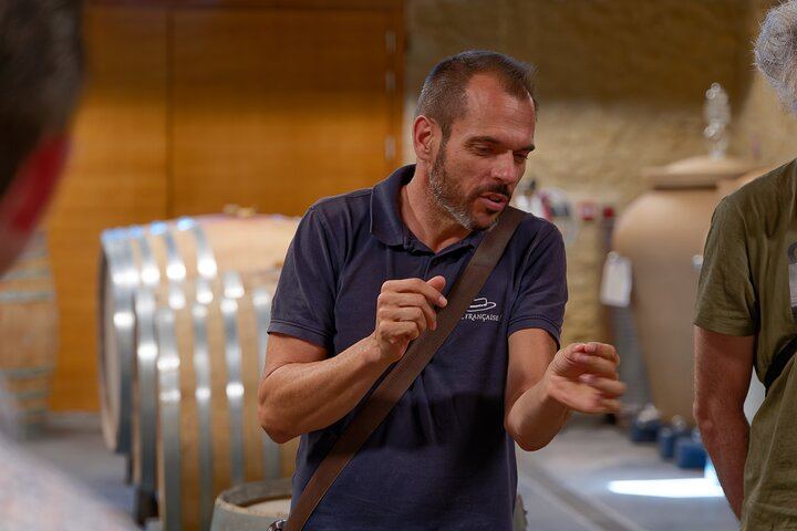 Châteauneuf-du-Pape Afternoon Wine Tour from Avignon, Two Cellar Tastings (1/10)