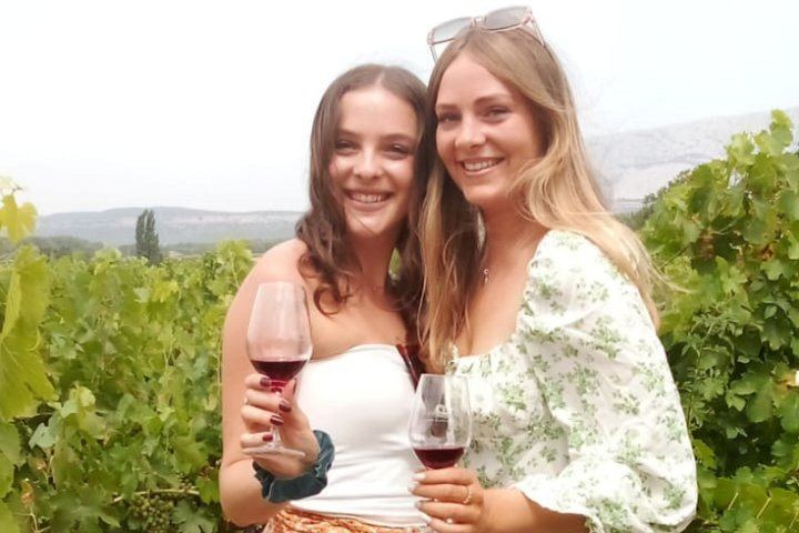 Châteauneuf-du-Pape Afternoon Wine Tour from Avignon, Two Cellar Tastings (9/10)