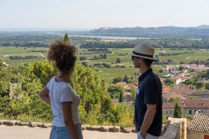 Châteauneuf-du-Pape Afternoon Wine Tour from Avignon, Two Cellar Tastings (10/10)
