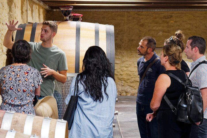 Châteauneuf-du-Pape Afternoon Wine Tour from Avignon, Two Cellar Tastings (5/10)