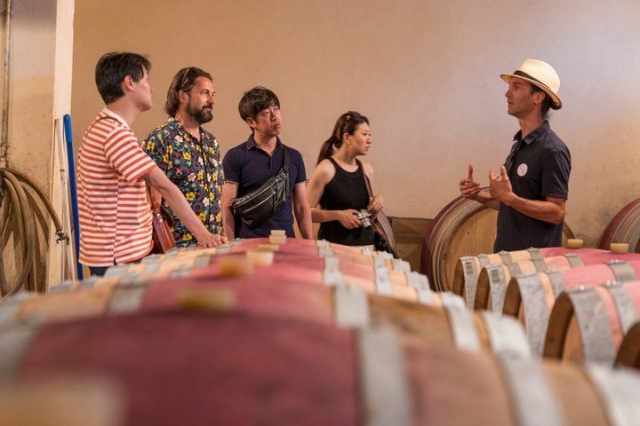 Châteauneuf-du-Pape Afternoon Wine Tour from Avignon, Two Cellar Tastings (8/10)