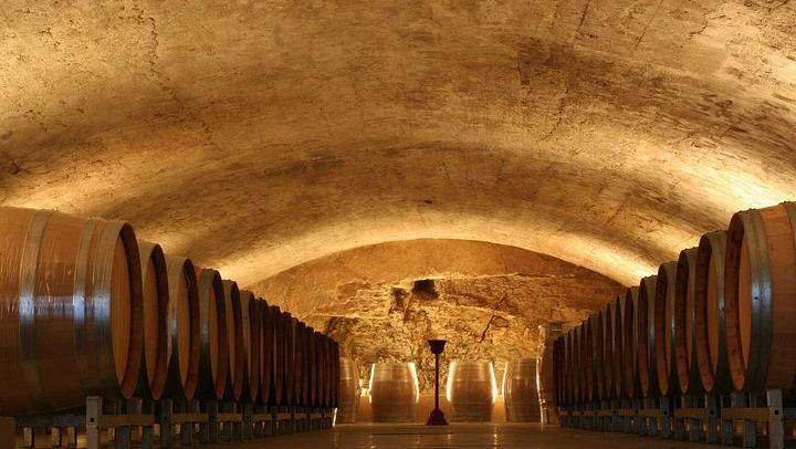 Wine Day from Avignon: Three Tastings in Châteauneuf, Gigondas or Séguret, Lunch Included (4/7)