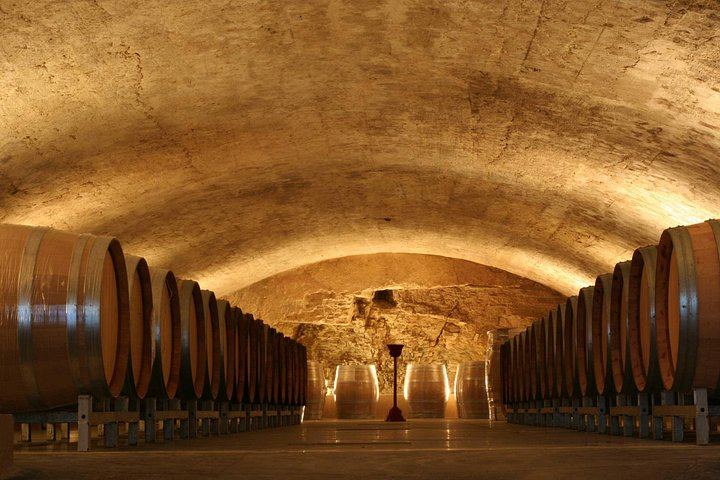 Wine Day from Avignon: Three Tastings in Châteauneuf, Gigondas or Séguret, Lunch Included (4/7)