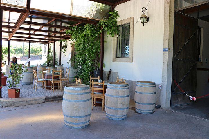 Private Setúbal Wine Day from Lisbon: Three Family Cellars or Two Plus a Village Lunch (11/12)
