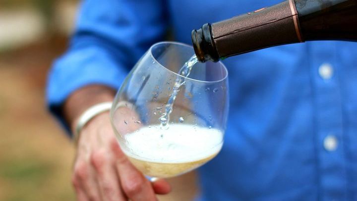 All-Inclusive Private Champagne Day from Paris: Vineyard-Owner Guide, Montagne de Reims (2/12)