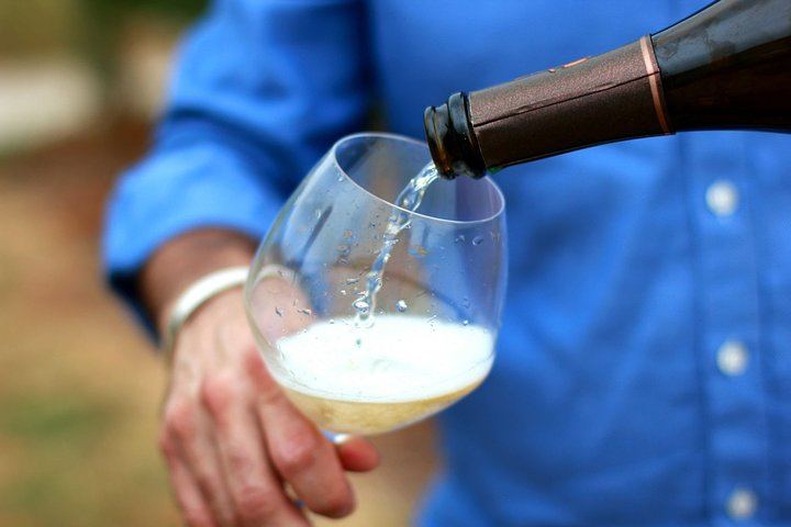 All-Inclusive Private Champagne Day from Paris: Vineyard-Owner Guide, Montagne de Reims (2/12)