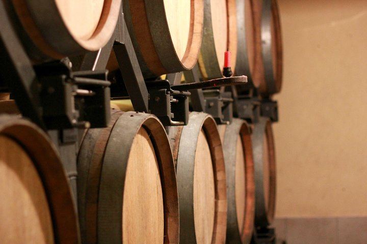 All-Inclusive Private Champagne Day from Paris: Vineyard-Owner Guide, Montagne de Reims (8/12)