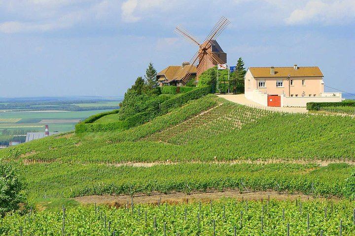 All-Inclusive Private Champagne Day from Paris: Vineyard-Owner Guide, Montagne de Reims (11/12)