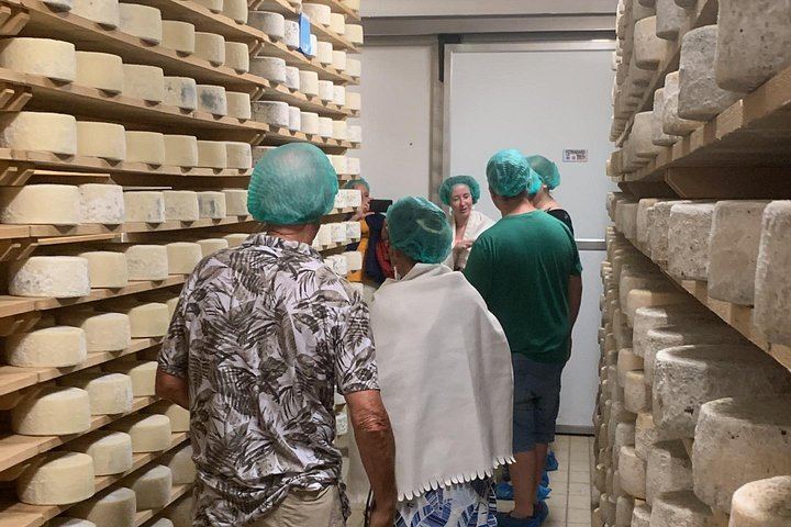 Private Prosecco Hills Tour with Osteria Lunch: 2 Family Wineries, Treviso or Venice Start (12/12)