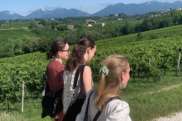 Private Prosecco Hills Tour with Osteria Lunch: 2 Family Wineries, Treviso or Venice Start (5/12)