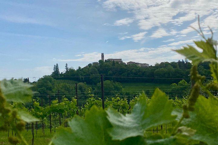Private Prosecco Hills Tour with Osteria Lunch: 2 Family Wineries, Treviso or Venice Start (9/12)
