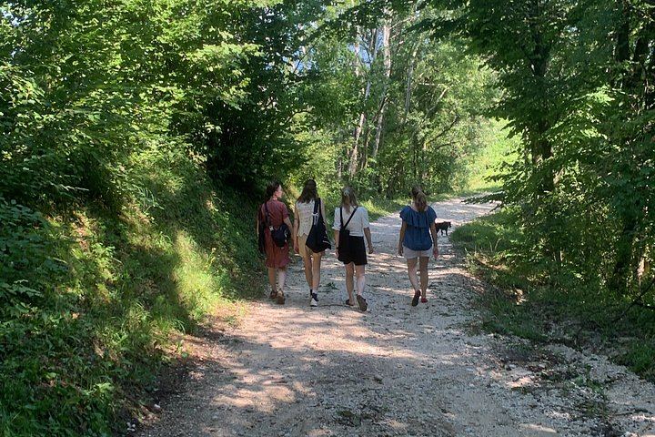 Private Prosecco Hills Tour with Osteria Lunch: 2 Family Wineries, Treviso or Venice Start (8/12)