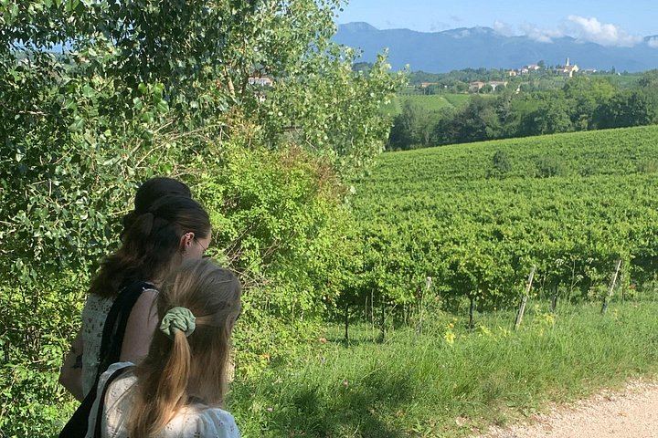 Private Prosecco Hills Tour with Osteria Lunch: 2 Family Wineries, Treviso or Venice Start (6/12)