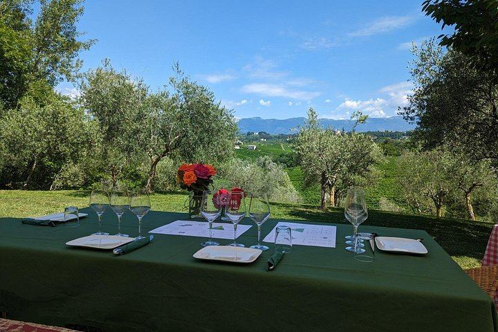 Private Prosecco Hills Tour with Osteria Lunch: 2 Family Wineries, Treviso or Venice Start (11/12)