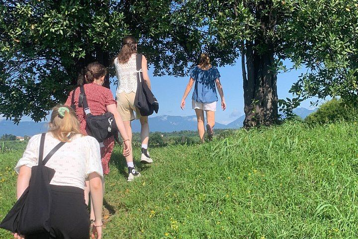 Private Prosecco Hills Tour with Osteria Lunch: 2 Family Wineries, Treviso or Venice Start (7/12)