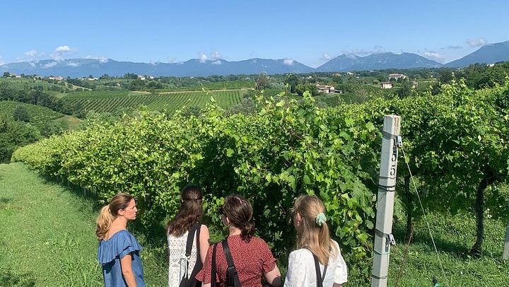 Private Prosecco Hills Tour with Osteria Lunch: 2 Family Wineries, Treviso or Venice Start (1/12)