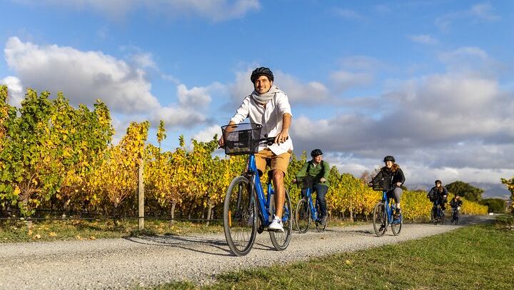 Guided Morning, Self-Guided Afternoon Bike Wine Tour from Rapaura, Marlborough (3/8)