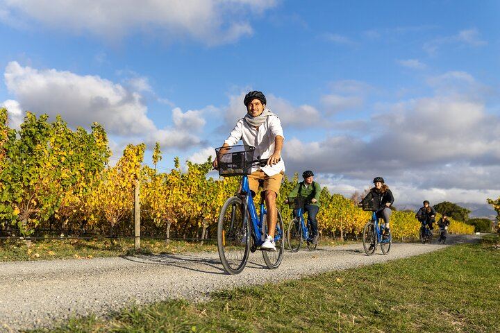 Guided Morning, Self-Guided Afternoon Bike Wine Tour from Rapaura, Marlborough (3/8)