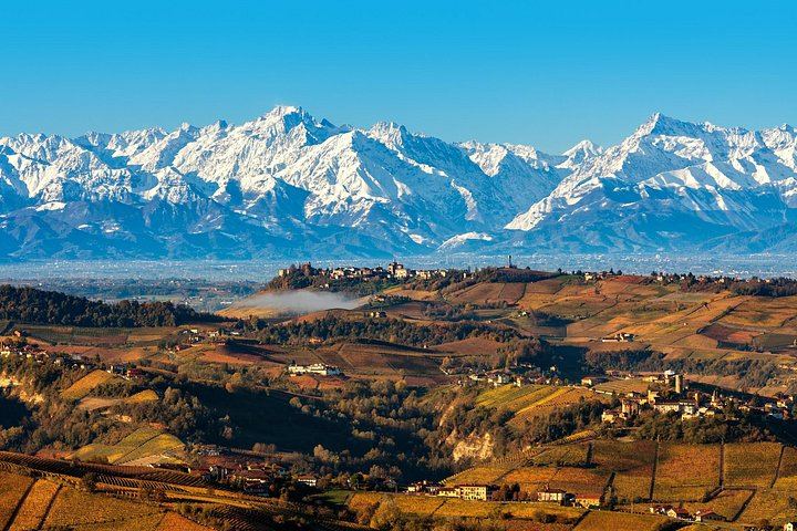 Small-Group Barolo Day Trip from Milan: Alba, Grinzane Cavour Castle and Family Winery (12/12)