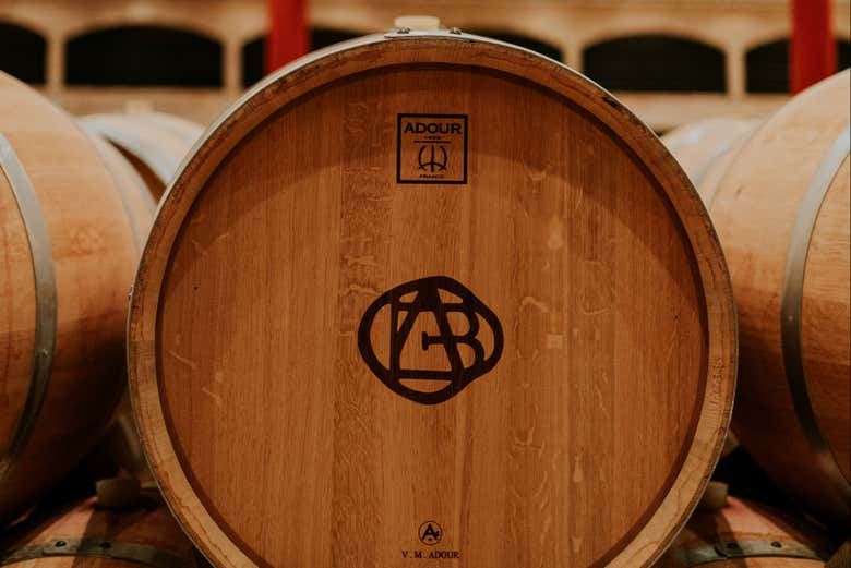Altanza Winery Tour in Fuenmayor with Vineyard Walk and Cloister Garden Tasting (10/12)