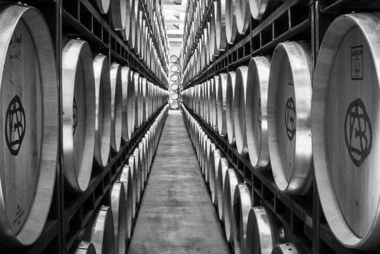 Altanza Winery Tour in Fuenmayor with Vineyard Walk and Cloister Garden Tasting (12/12)
