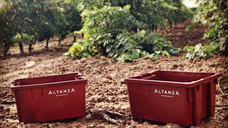 Altanza Winery Tour in Fuenmayor with Vineyard Walk and Cloister Garden Tasting (2/12)