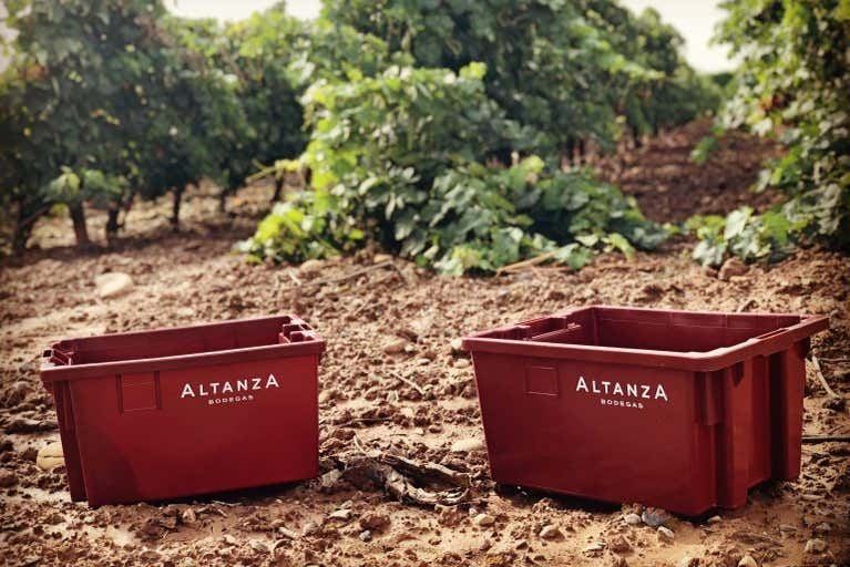 Altanza Winery Tour in Fuenmayor with Vineyard Walk and Cloister Garden Tasting (2/12)