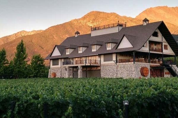 Alyan Family Wines Sunset Tour from Santiago: Vineyard Lookout and Dinner