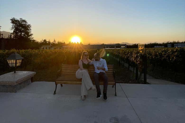 Alyan Family Wines Sunset Tour from Santiago: Vineyard Lookout and Dinner (1/7)