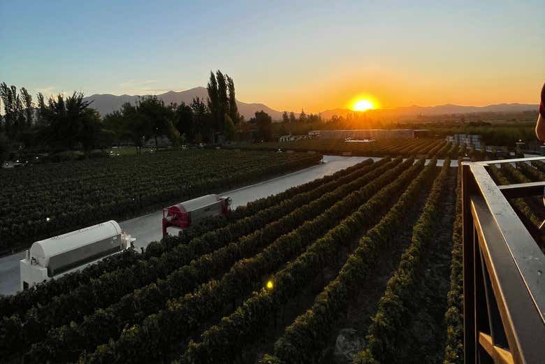 Alyan Family Wines Sunset Tour from Santiago: Vineyard Lookout and Dinner (5/7)