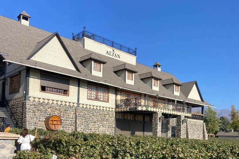 Alyan Family Wines Sunset Tour from Santiago: Vineyard Lookout and Dinner (7/7)