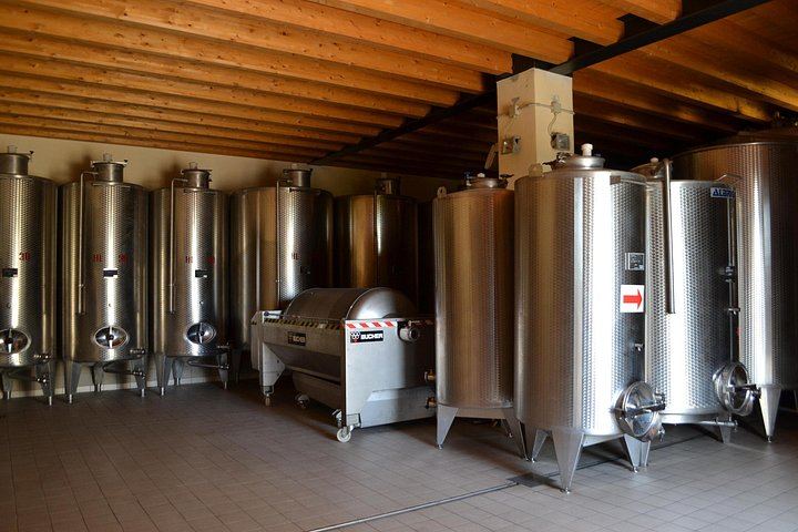 Amarone and Valpolicella Wine Tasting at the Family-Run Fratelli Vogadori Cellar, Negrar (8/12)