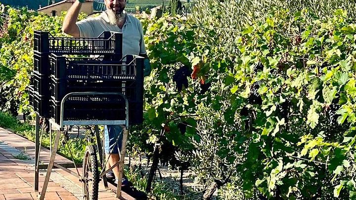 Amarone and Valpolicella Wine Tasting at the Family-Run Fratelli Vogadori Cellar, Negrar (1/12)