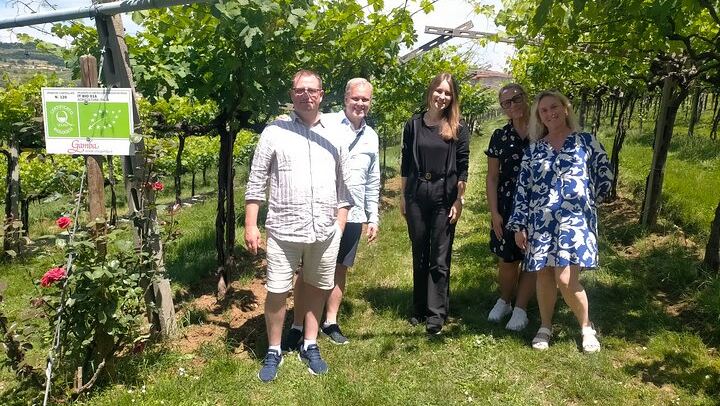 Private Full-Day Soave and Amarone Wine Tour from Venice with Sommelier and Verona Walk (3/7)