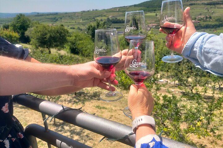 Private Full-Day Soave and Amarone Wine Tour from Venice with Sommelier and Verona Walk (4/7)