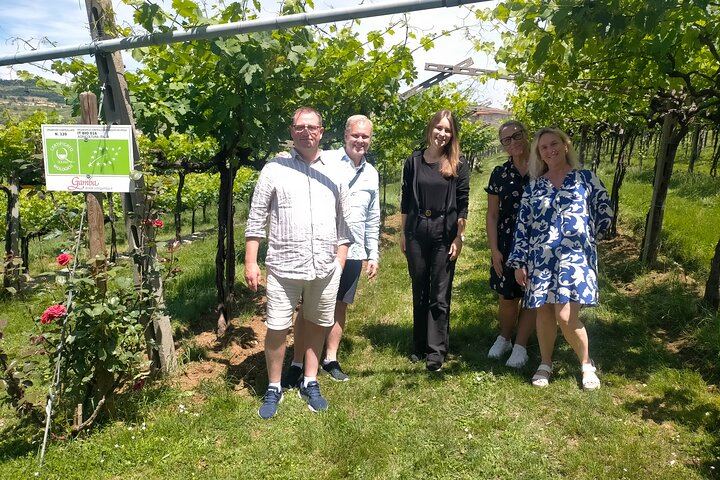 Private Full-Day Soave and Amarone Wine Tour from Venice with Sommelier and Verona Walk (3/7)