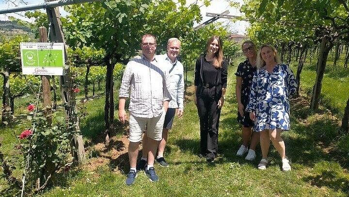 Private Amarone Day from Venice: Verona Sights Walk, Valpolicella Family Winery and Lunch (2/8)