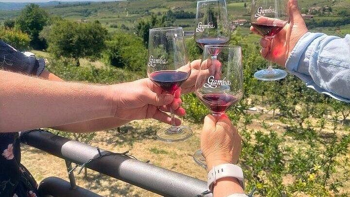 Private Amarone Day from Venice: Verona Sights Walk, Valpolicella Family Winery and Lunch (4/8)