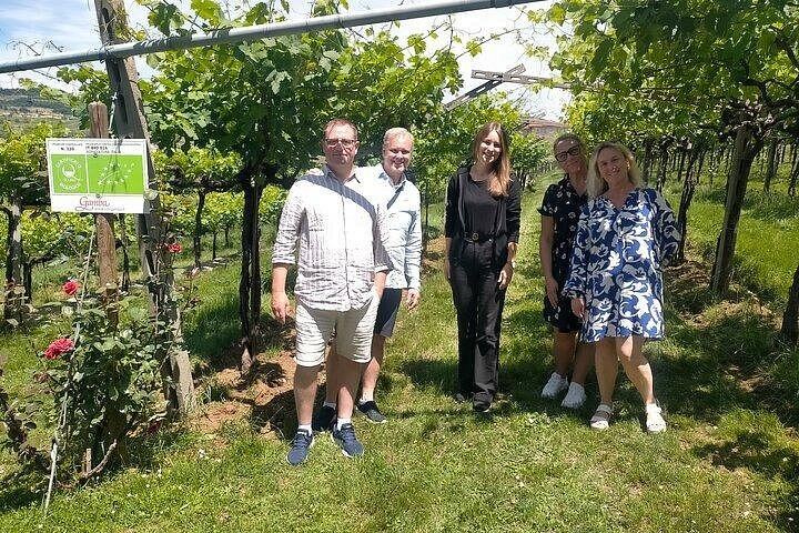 Private Amarone Day from Venice: Verona Sights Walk, Valpolicella Family Winery and Lunch (2/8)