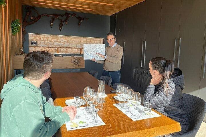 Private Amarone Day from Venice: Verona Sights Walk, Valpolicella Family Winery and Lunch (3/8)