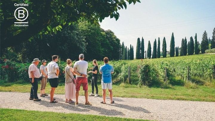 Amarone Half-Day Tasting from Verona: Two Family Wineries, Private Minivan for Eight (1/12)