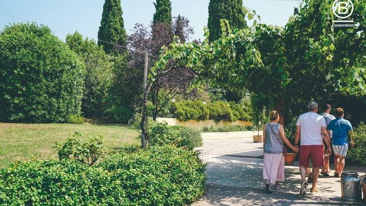Amarone Half-Day Tasting from Verona: Two Family Wineries, Private Minivan for Eight (4/12)